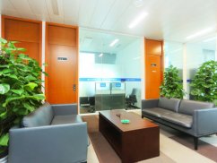 <b>上海刑事辯護律師：報警追回被騙錢財的詳細指南</b>